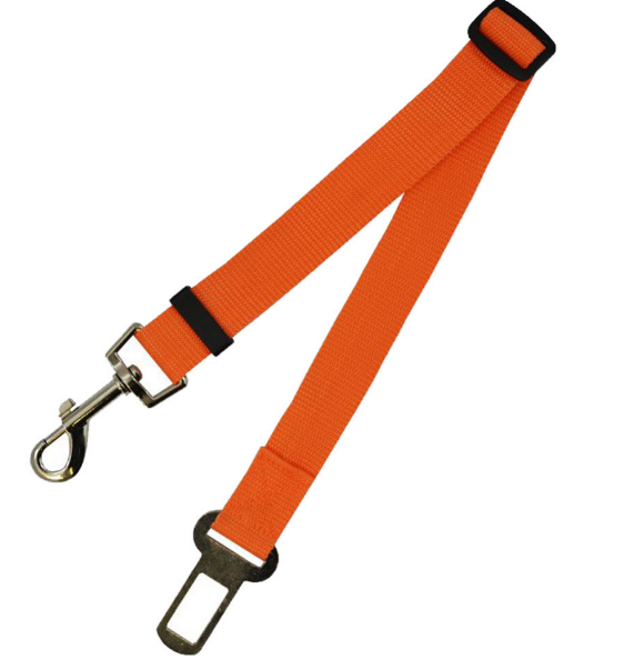 Fixed Strap Dog Strap Leash