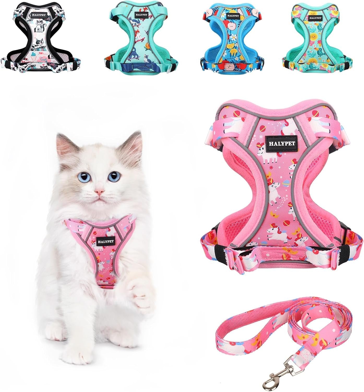 Cat Harness and Leash