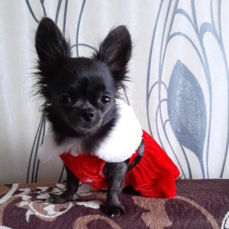 Miss Santa Party Dresses