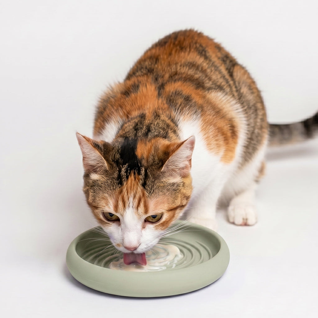 Lick Slow Feeder