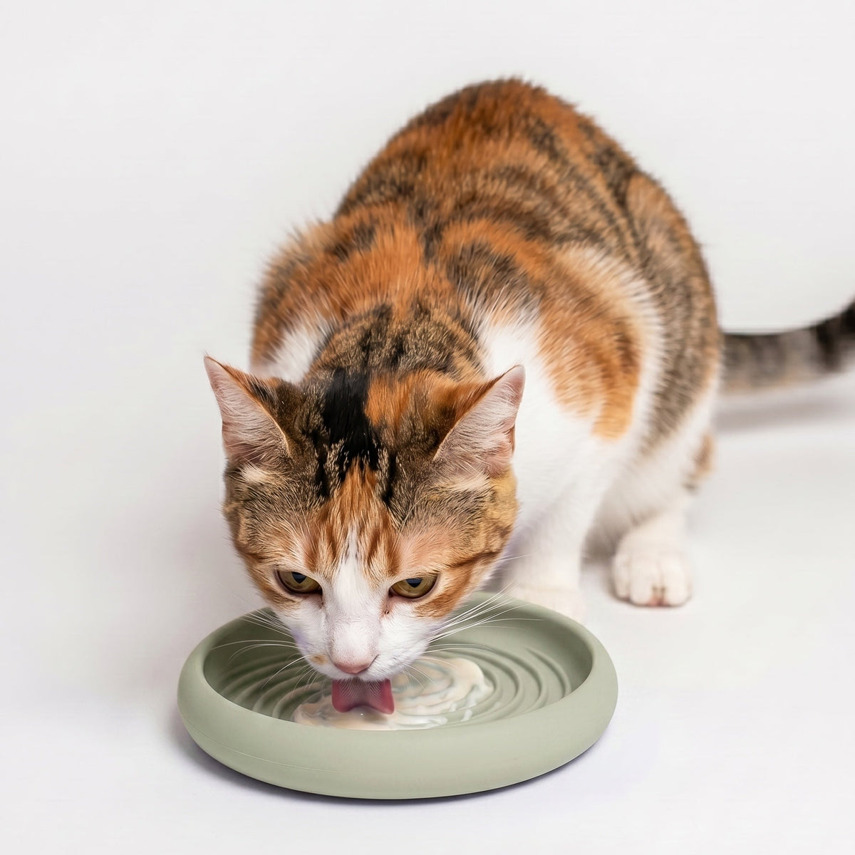 Lick Slow Feeder