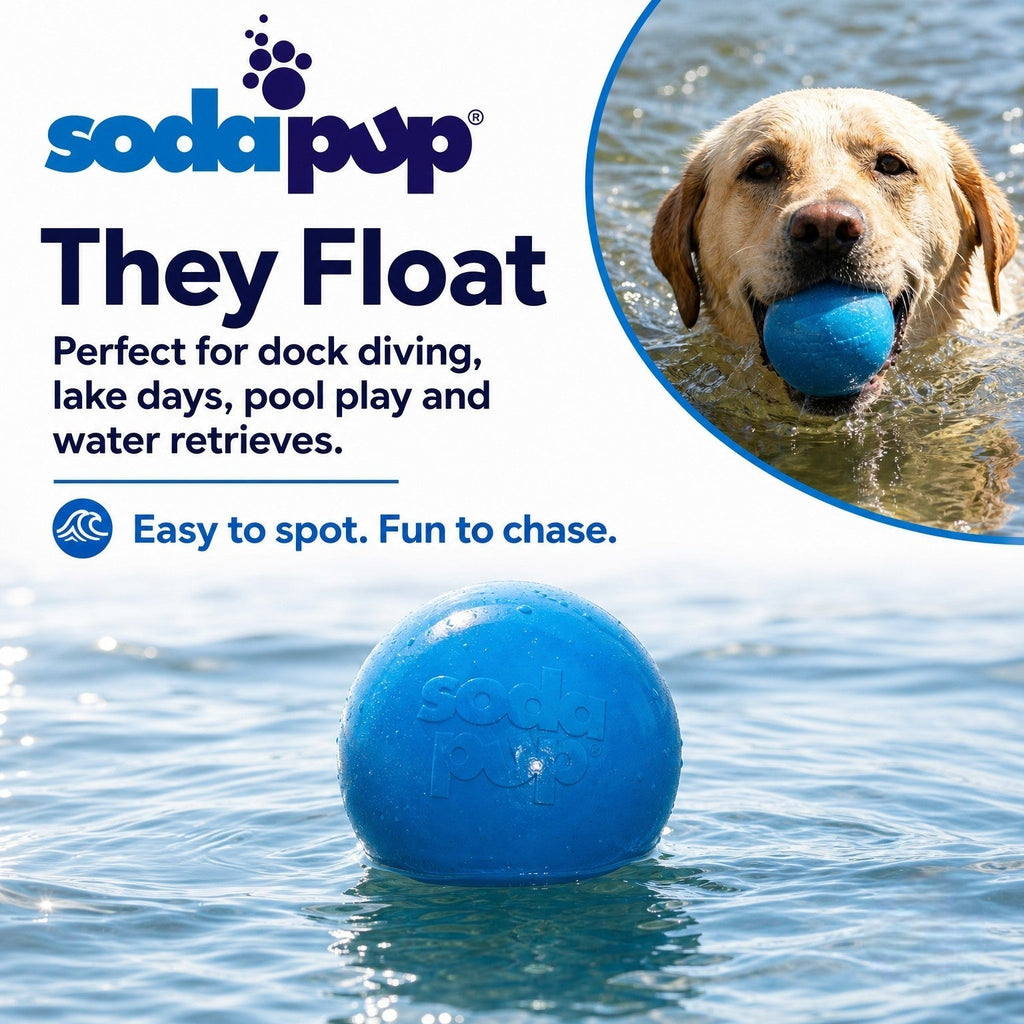 Glitter Ball 3-Pack Dog Toy |