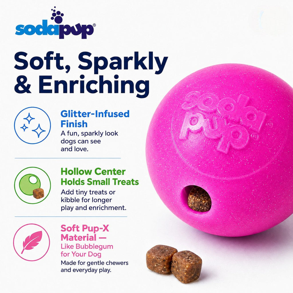 Glitter Ball 3-Pack Dog Toy |