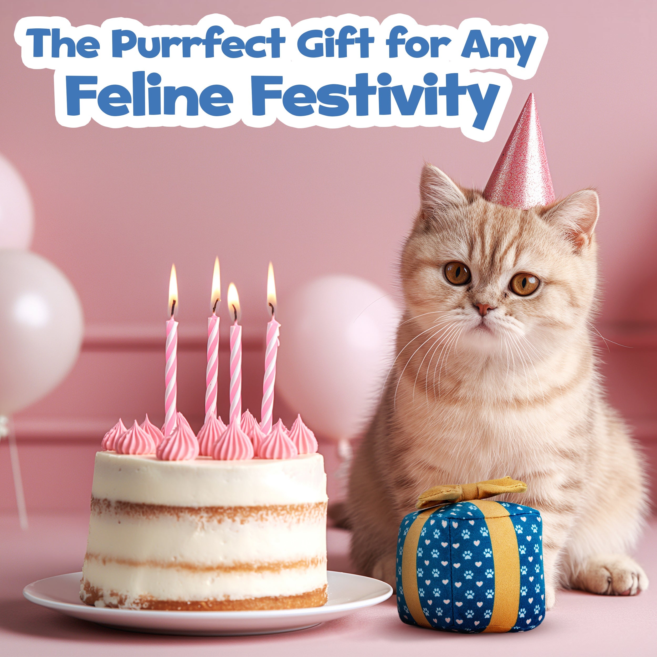 Cat Gift Box Catnip Toy
