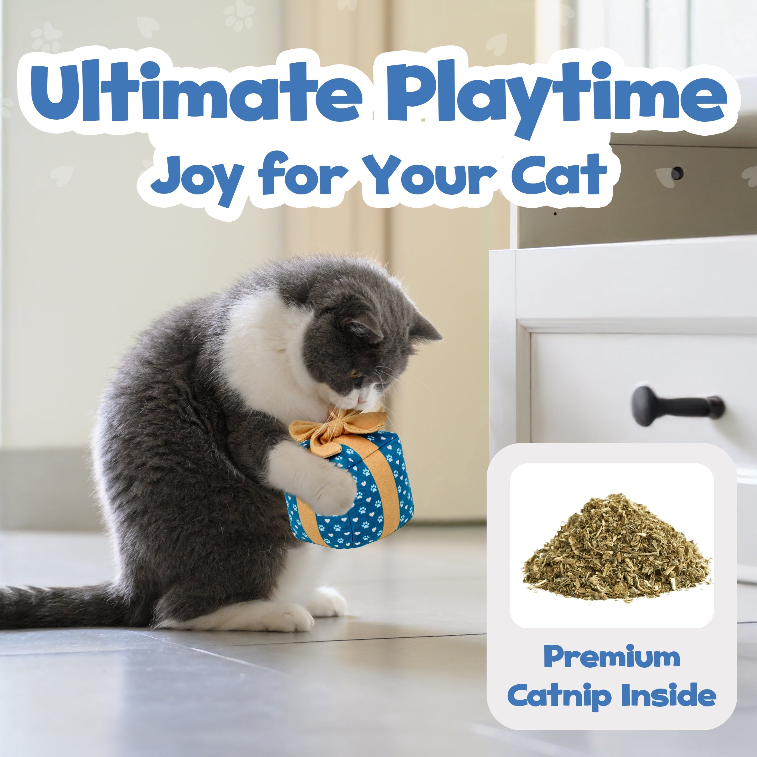 Cat Gift Box Catnip Toy