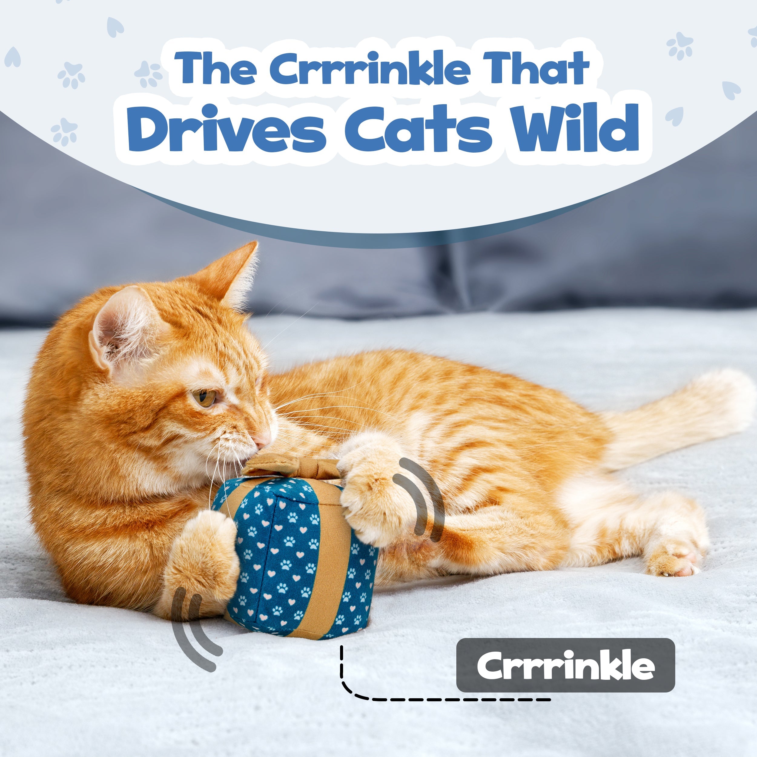 Cat Gift Box Catnip Toy