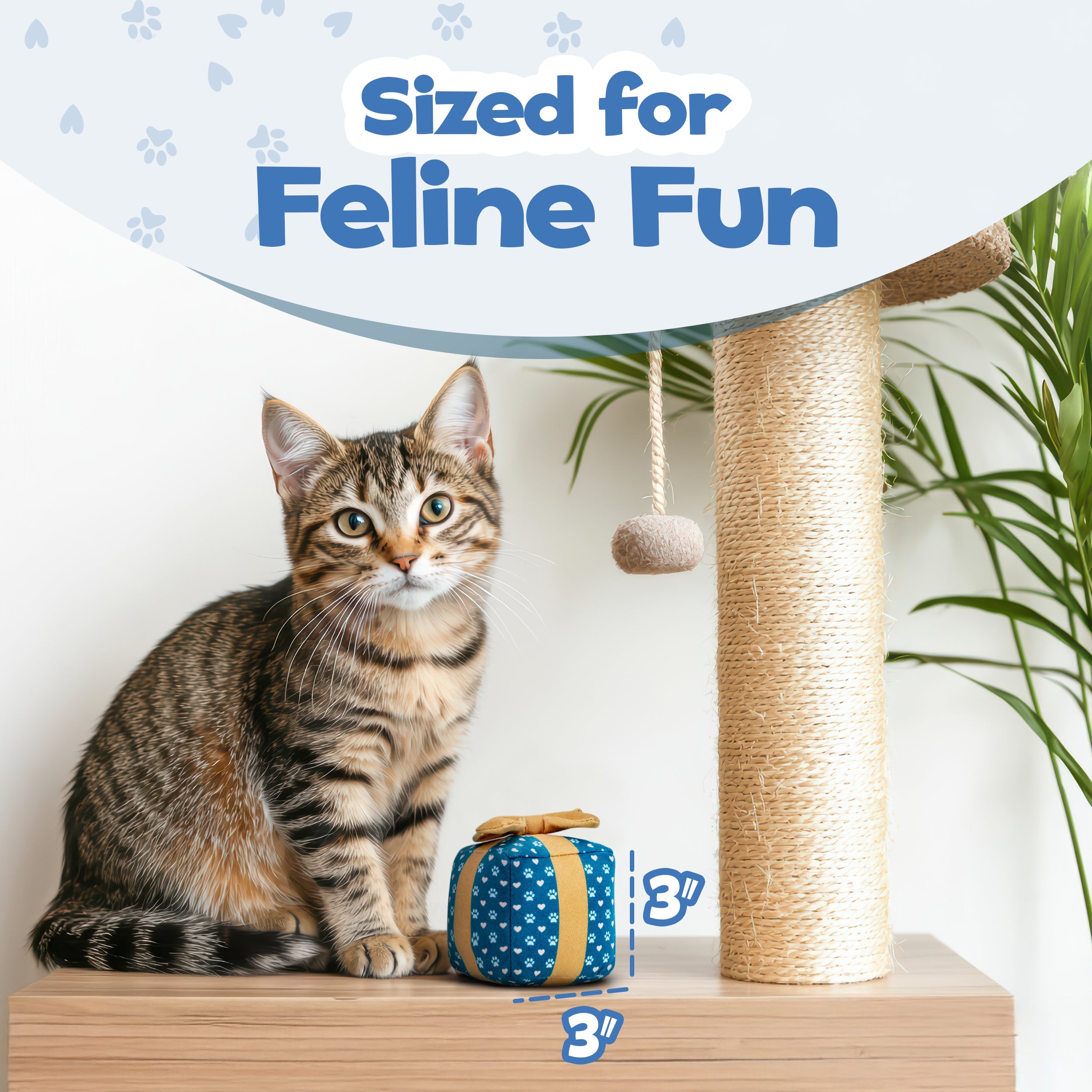 Cat Gift Box Catnip Toy