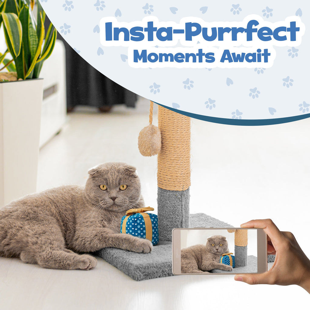Cat Gift Box Catnip Toy
