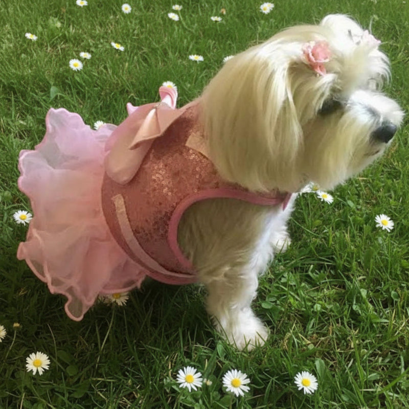 Bling Dog Harness Dress & Leash Set