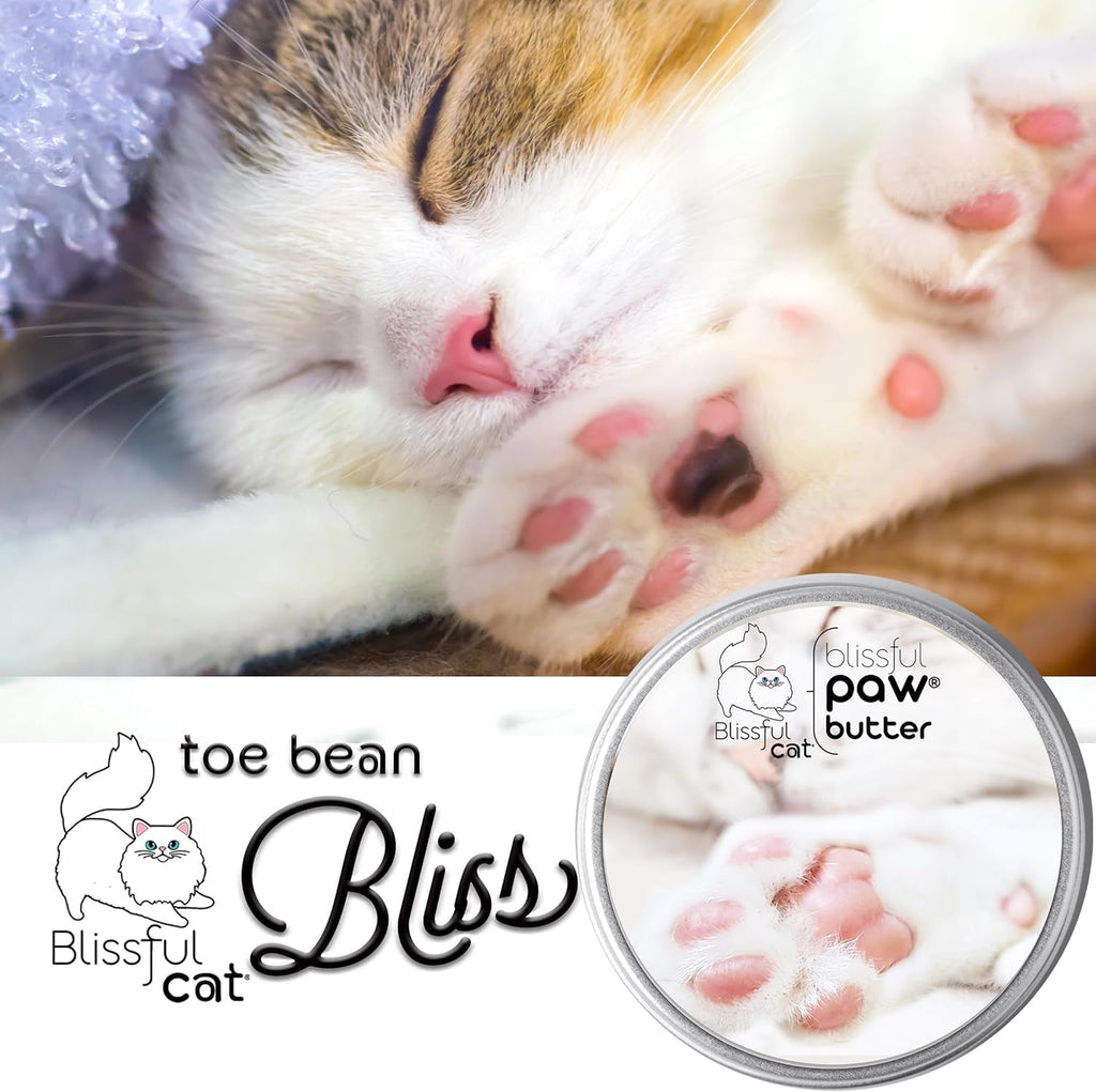 Blissful Cat Paw Butter