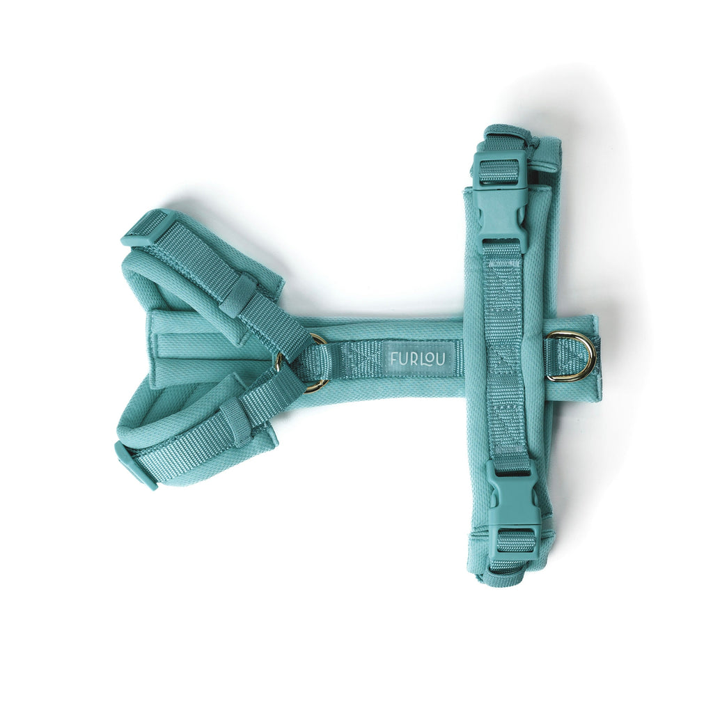 Blue - Comfort Dog Harness