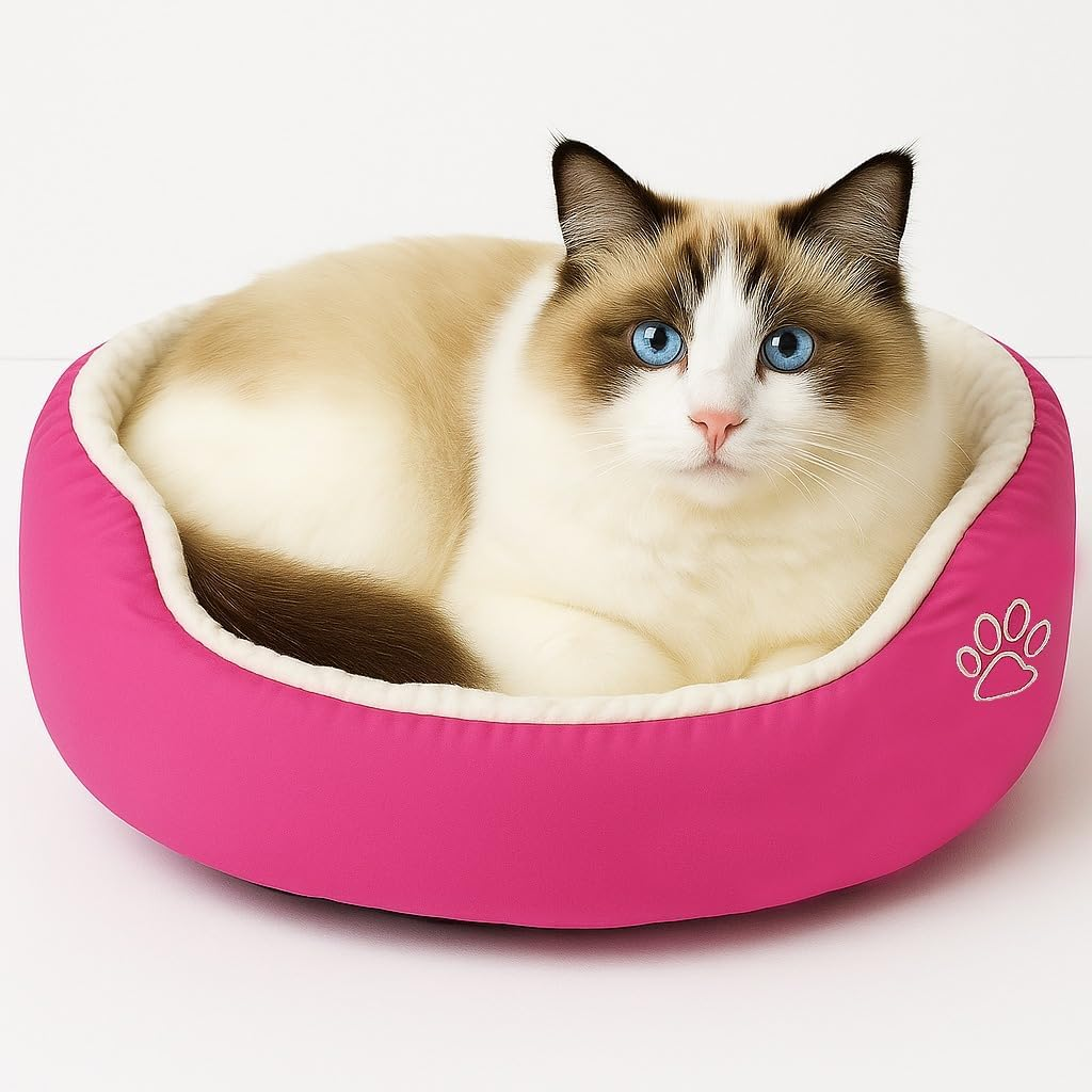 Donut Cat Bed Plush