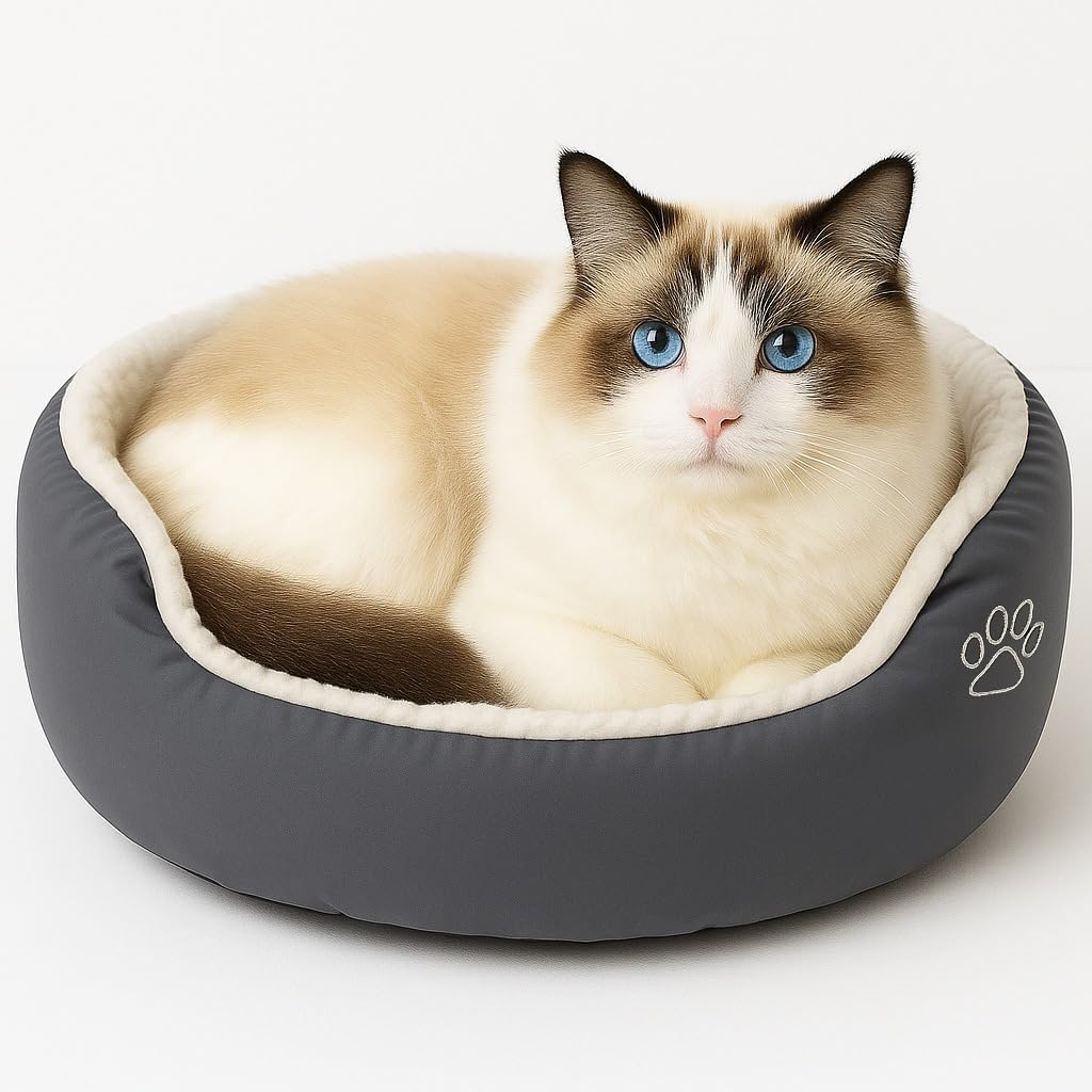 Cozy Donut Cat Bed Plush