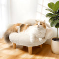 Stylish Cat or Dog Sofa & Bed