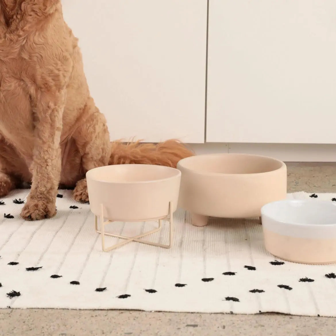 Ceramic Cat & Dog Bow