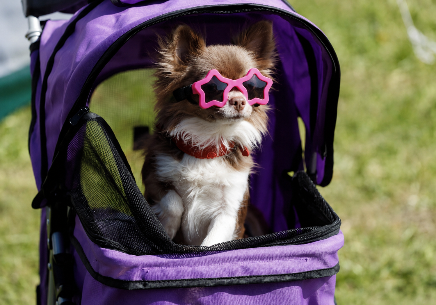 Star Shaped Sunglasses