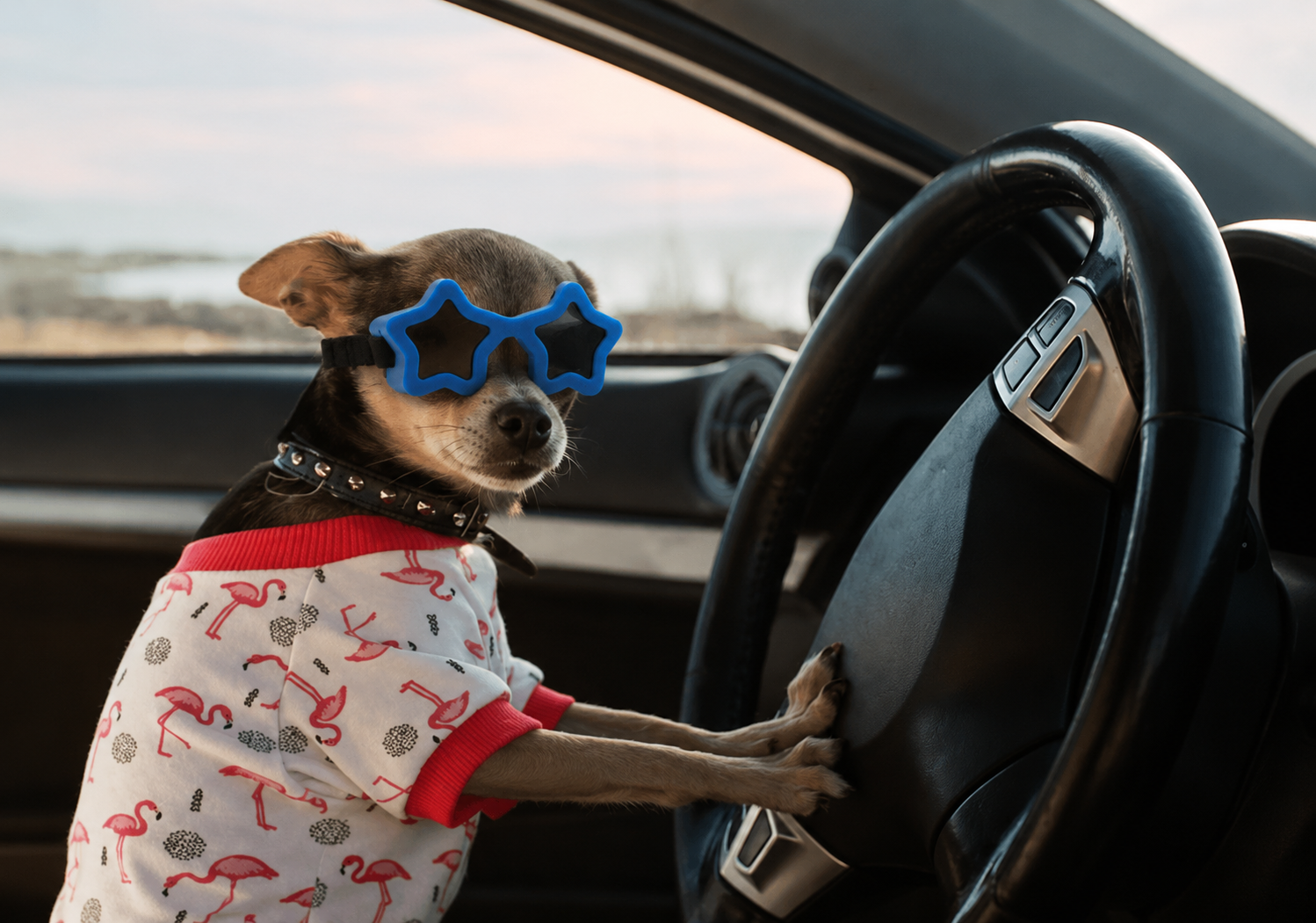 Star Shaped Sunglasses