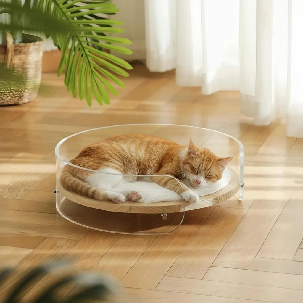 Modern Clear Acrylic Cat Bed