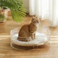 Modern Clear Acrylic Cat Bed
