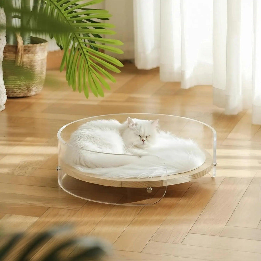 Modern Clear Acrylic Cat Bed