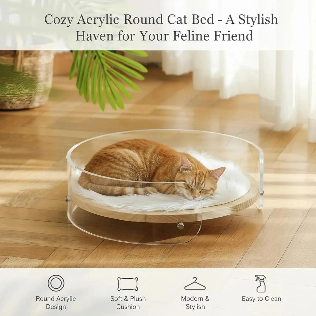 Modern Clear Acrylic Cat Bed