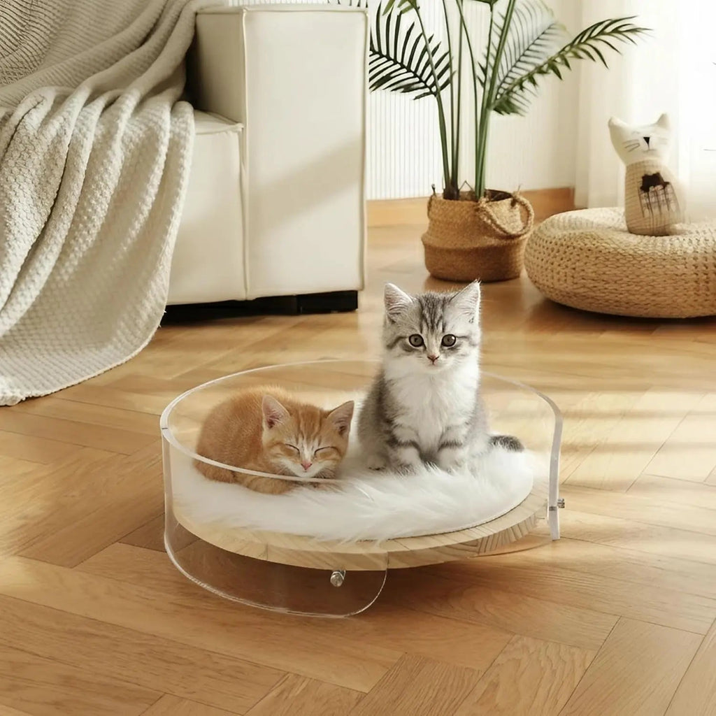 Modern Clear Acrylic Cat Bed