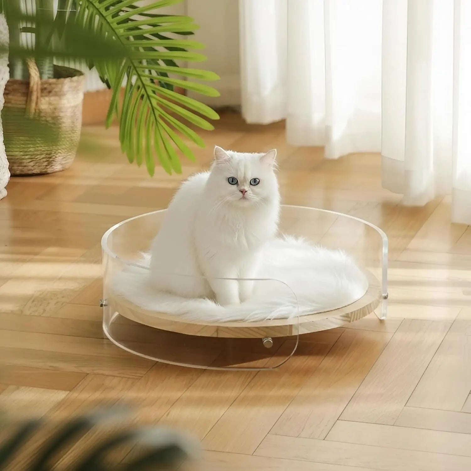 Modern Clear Acrylic Cat Bed
