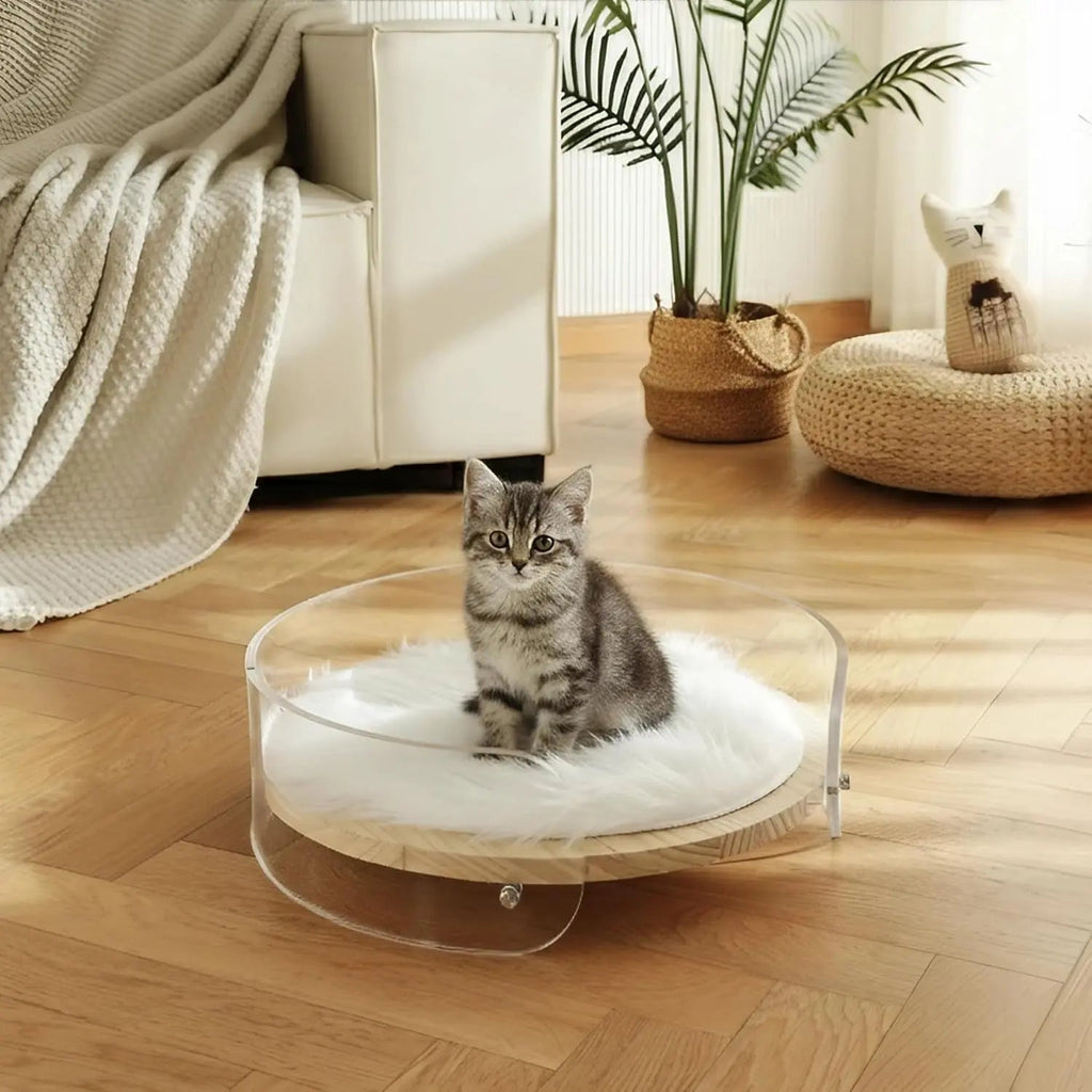 Modern Clear Acrylic Cat Bed