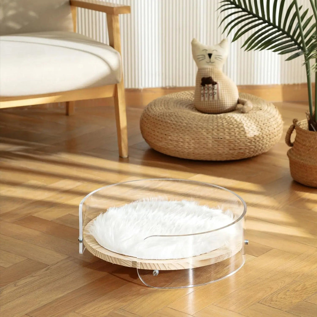Modern Clear Acrylic Cat Bed