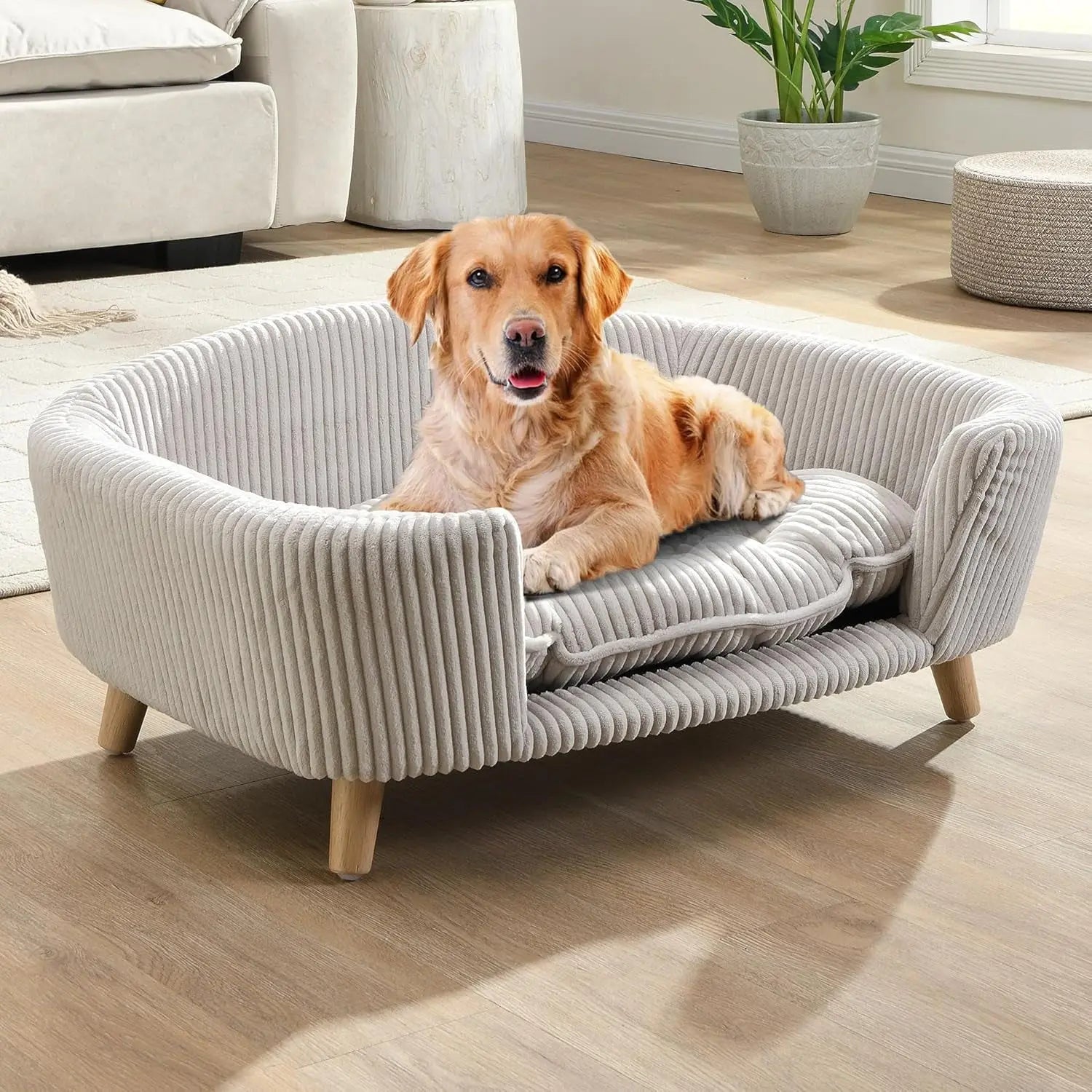 Modern Dog Sofa Bed