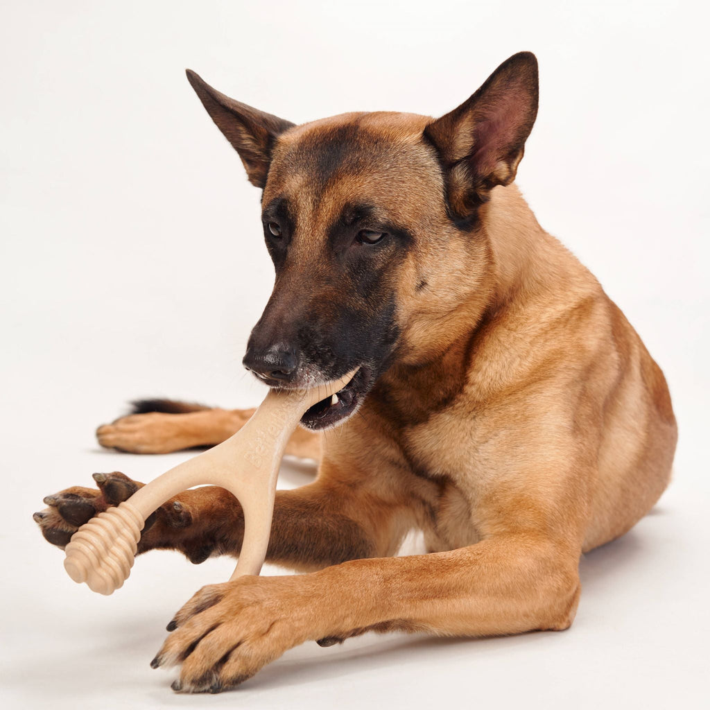BetterBone CHEW TOY: Naturally Derived Ingredients, Eco-Friendly, Non-Toxic