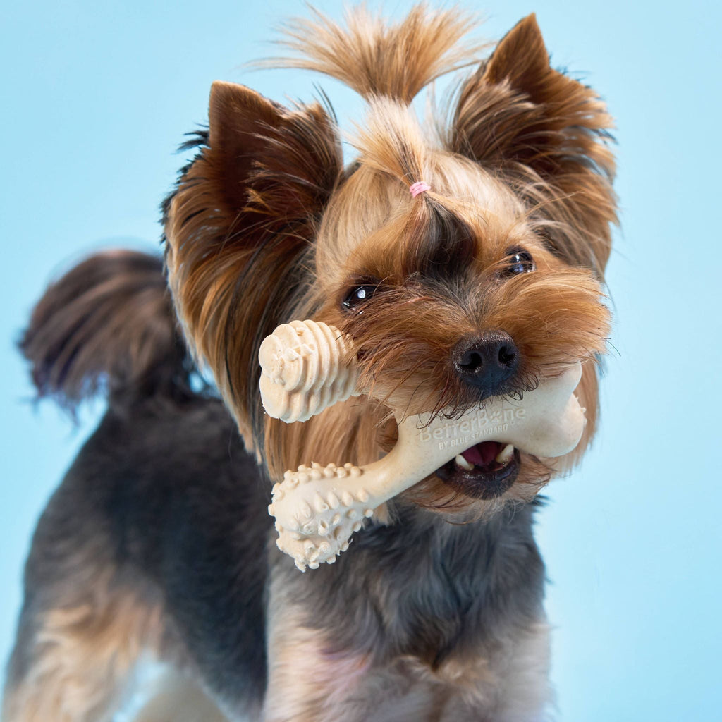 BetterBone CHEW TOY: Plant-Based Ingredients