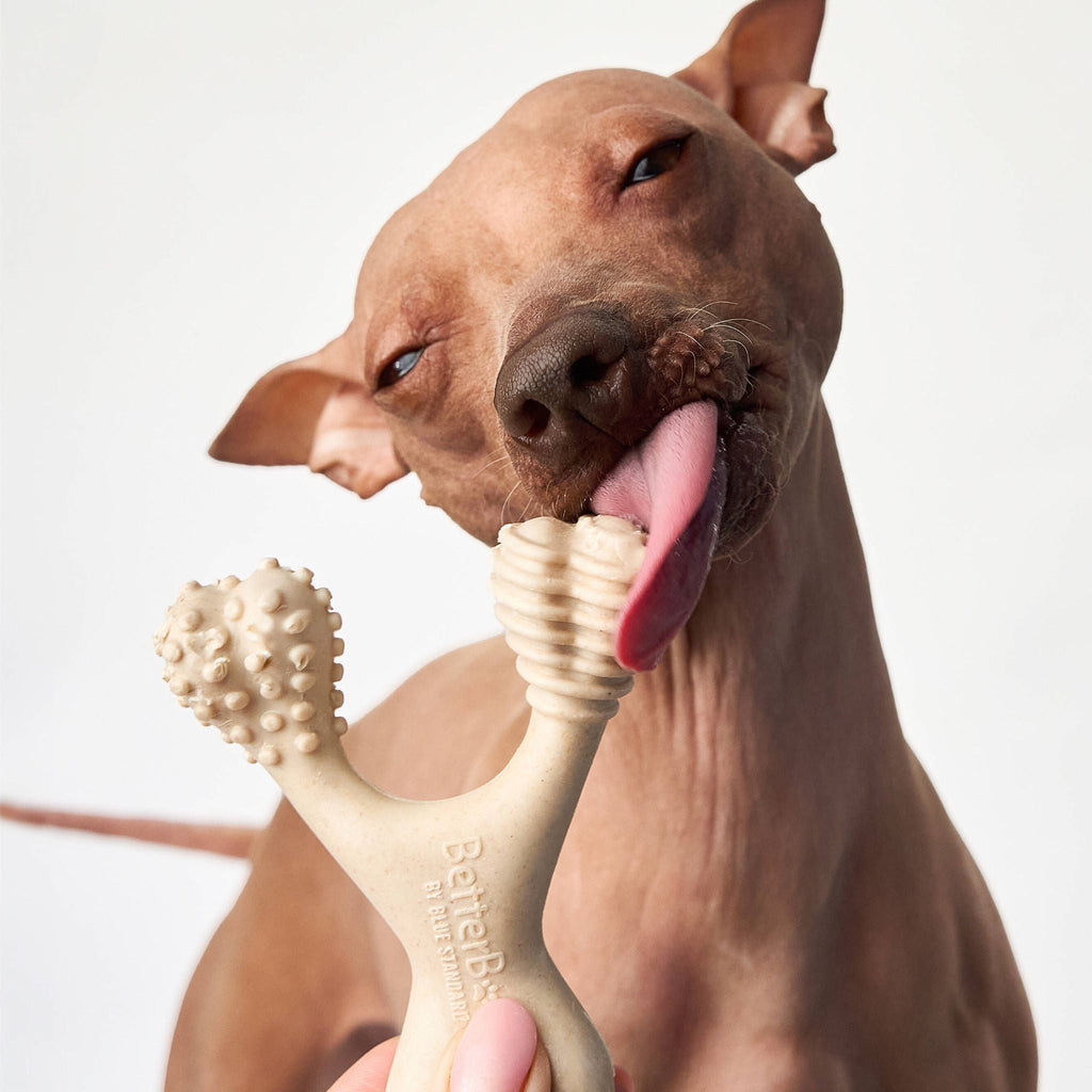 BetterBone CHEW TOY: Plant-Based Ingredients