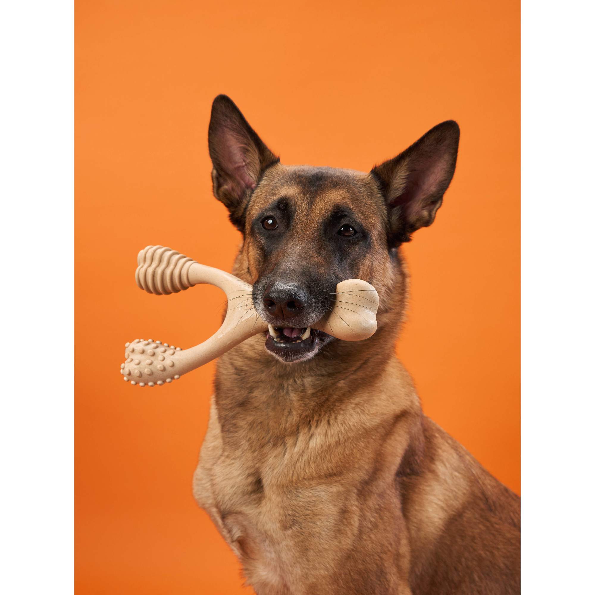 BetterBone CHEW TOY: Naturally Derived Ingredients