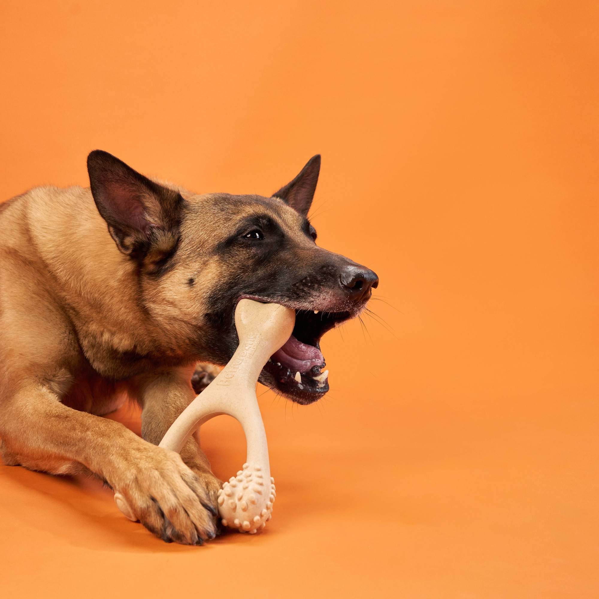 BetterBone CHEW TOY: Naturally Derived Ingredients