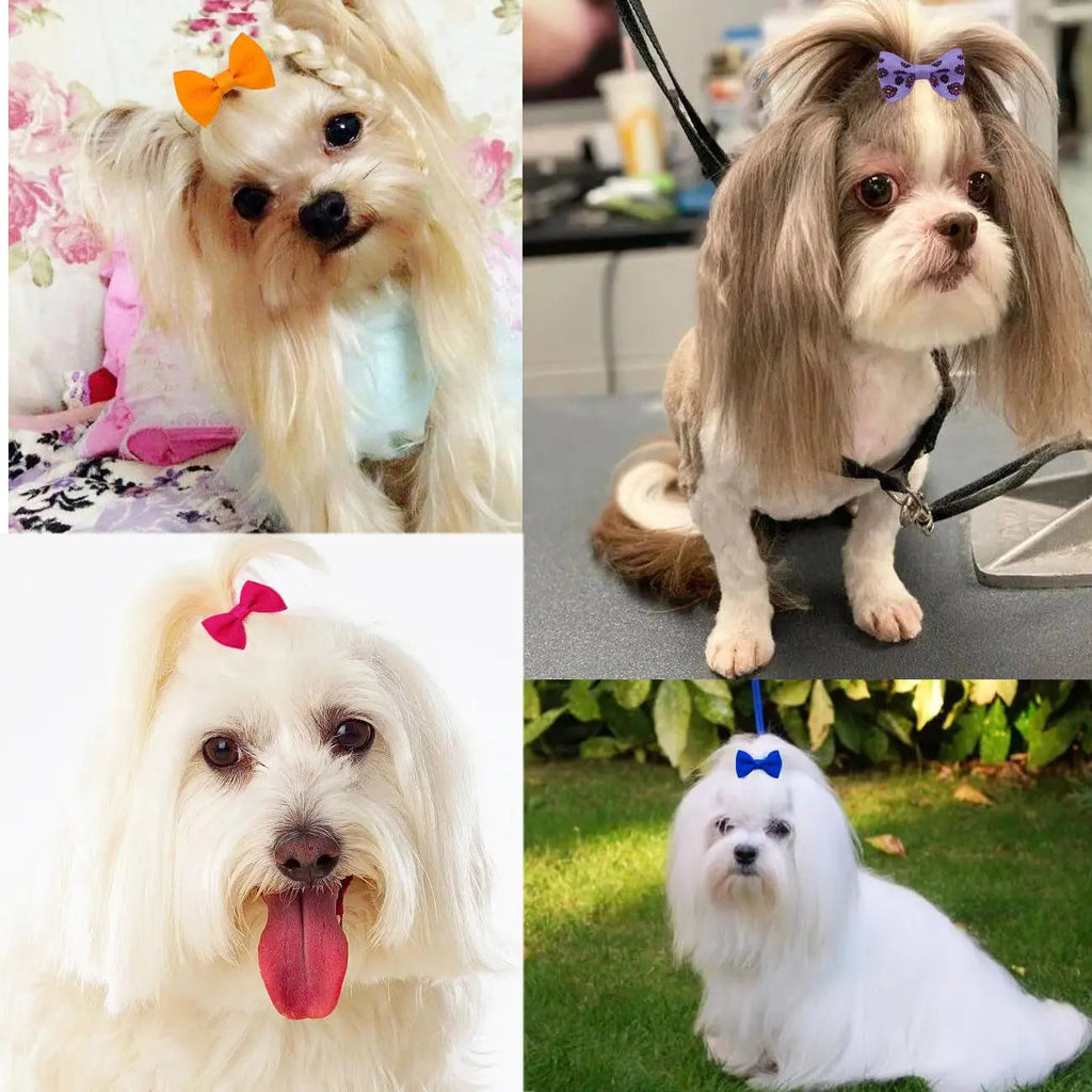 Dog Hair Bows Clips 40PCS
