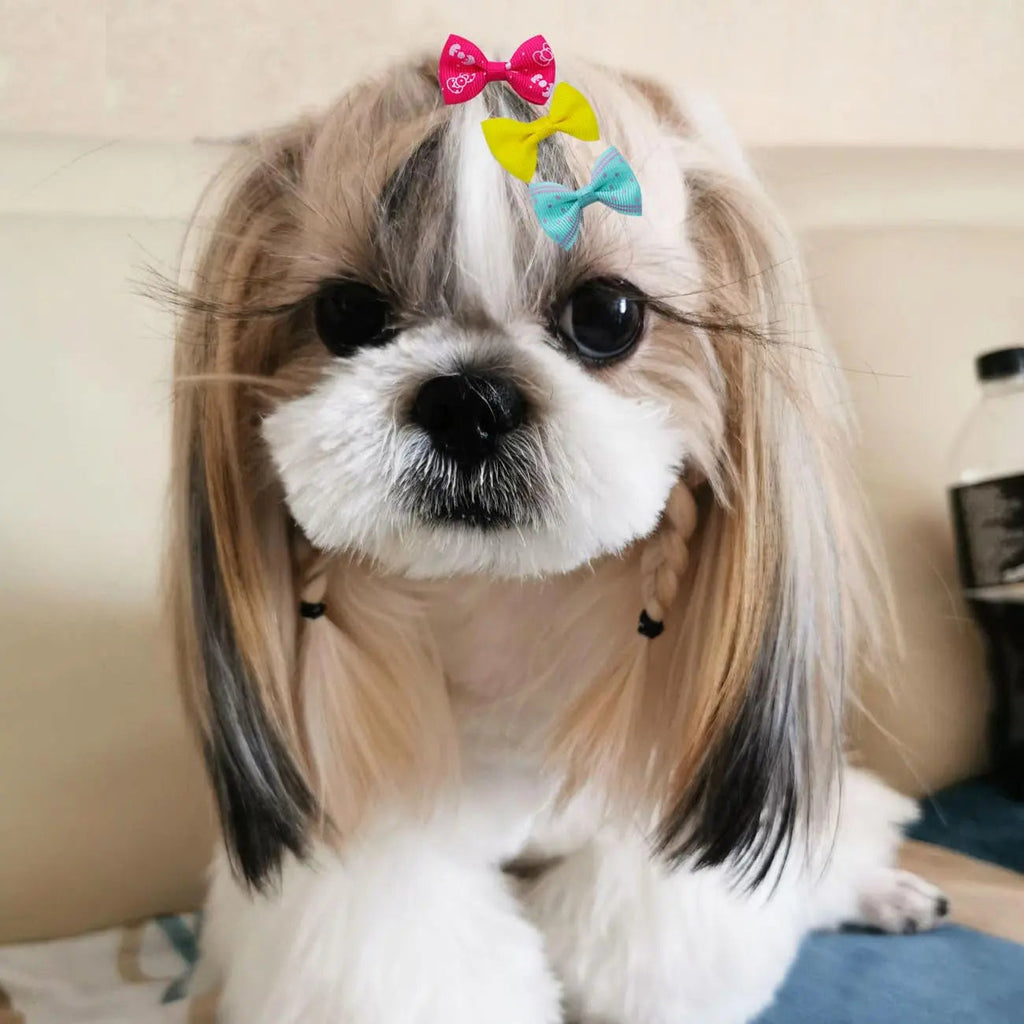 Dog Hair Bows Clips 40PCS