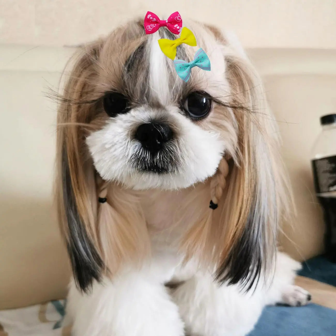 Dog Hair Bows Clips 40PCS