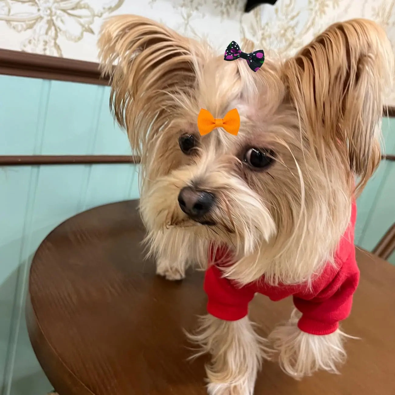 Dog Hair Bows Clips 40PCS