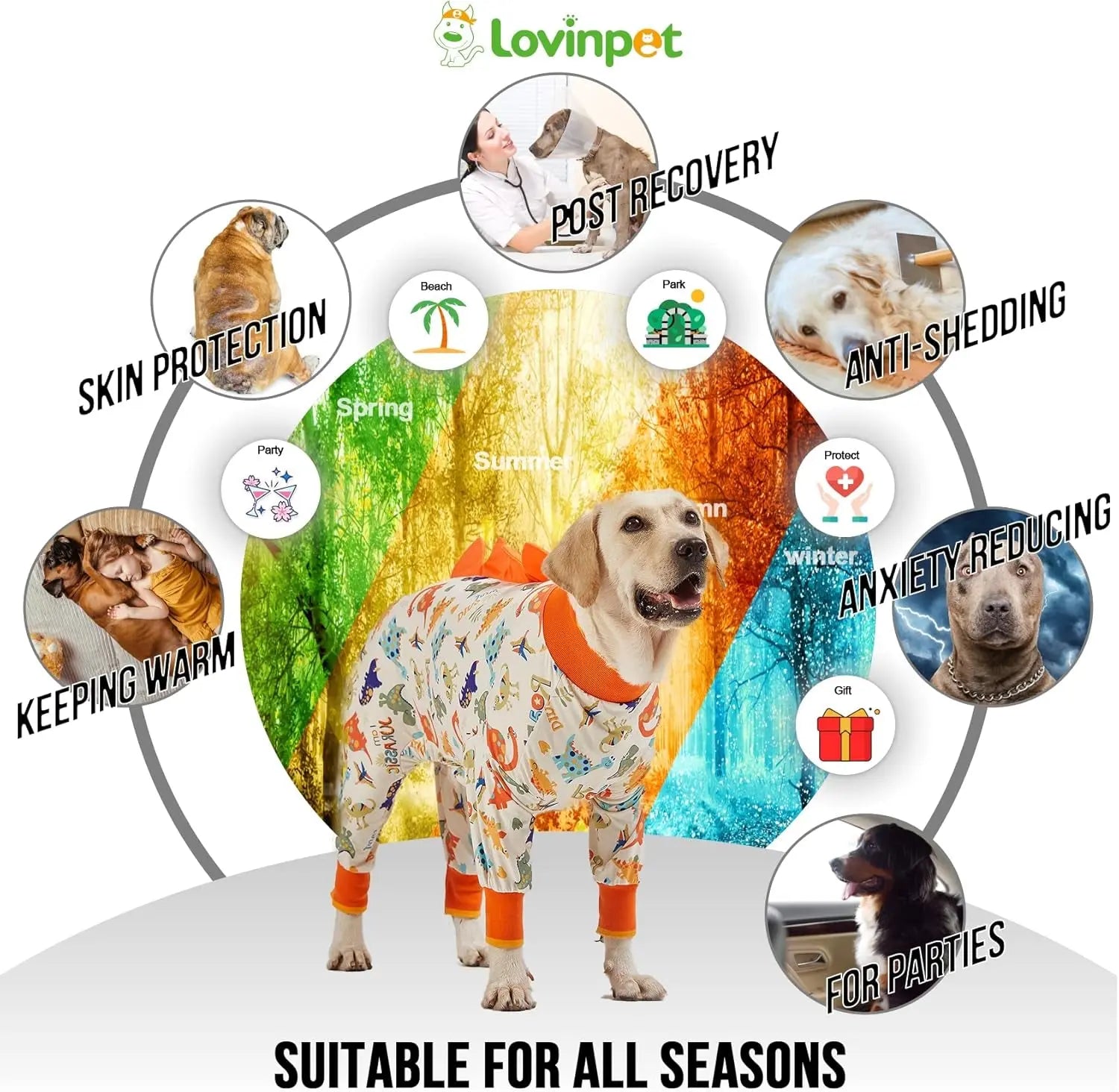 Dog Pajamas– Jurassic
