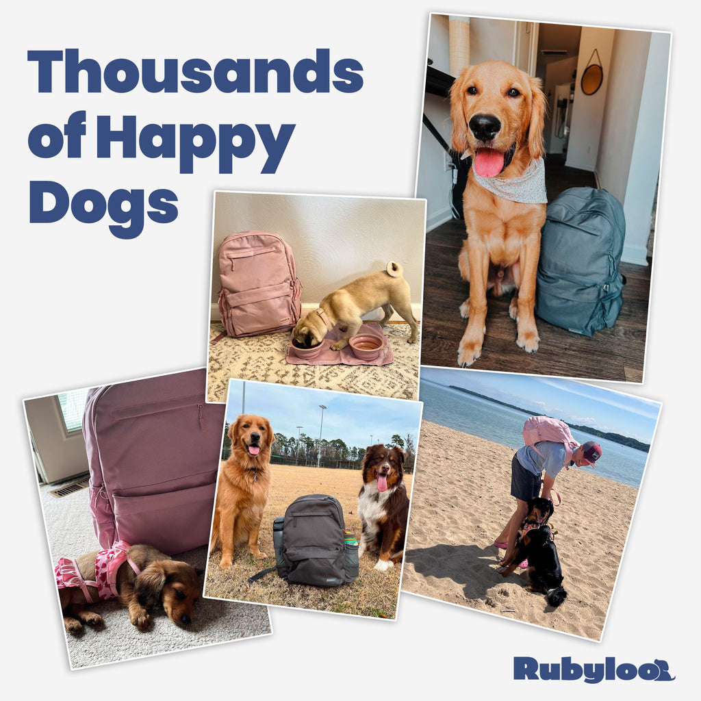 The Original Doggy Bag™ All in One Backpack