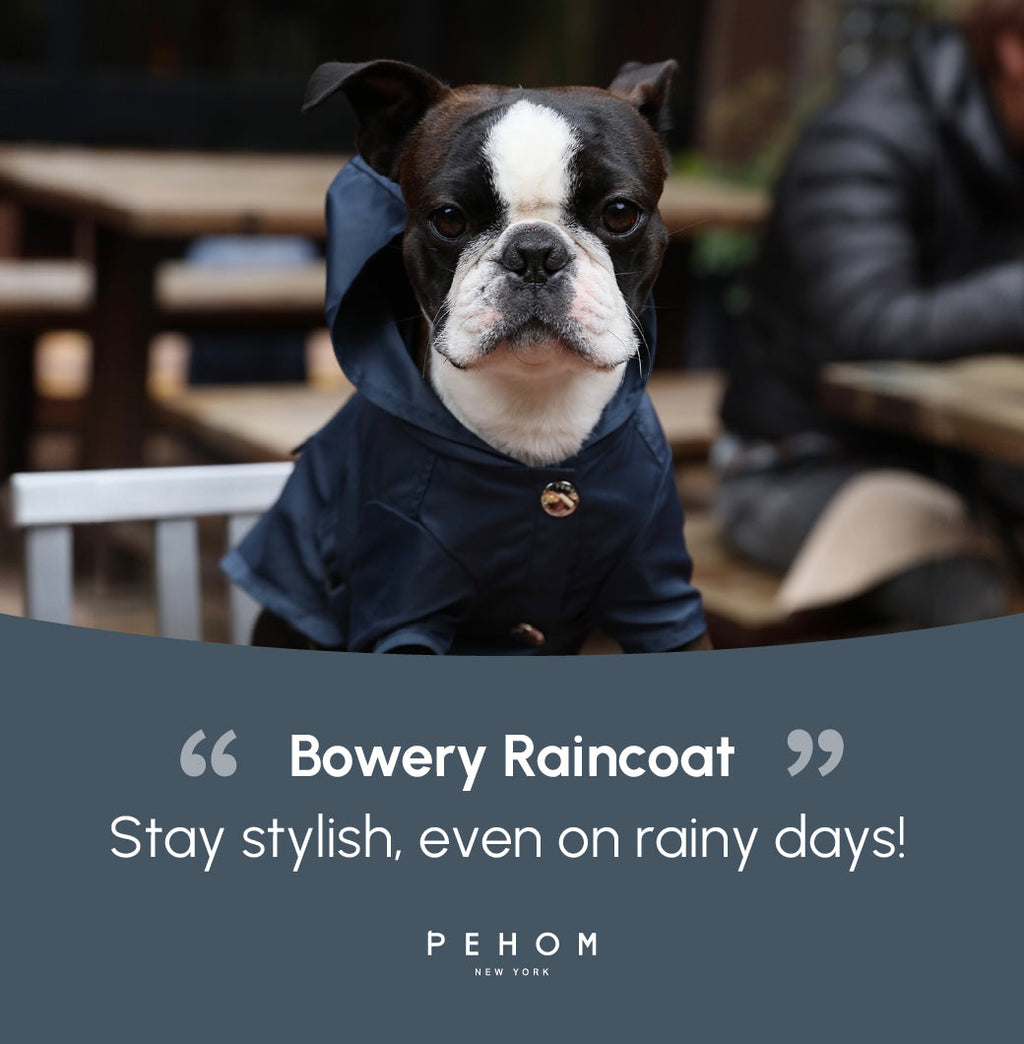 Blue Bowery Raincoat