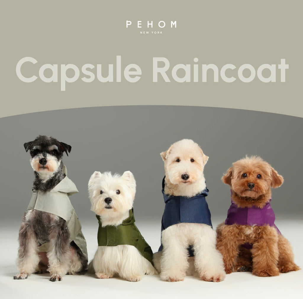 Green Capsule Raincoat