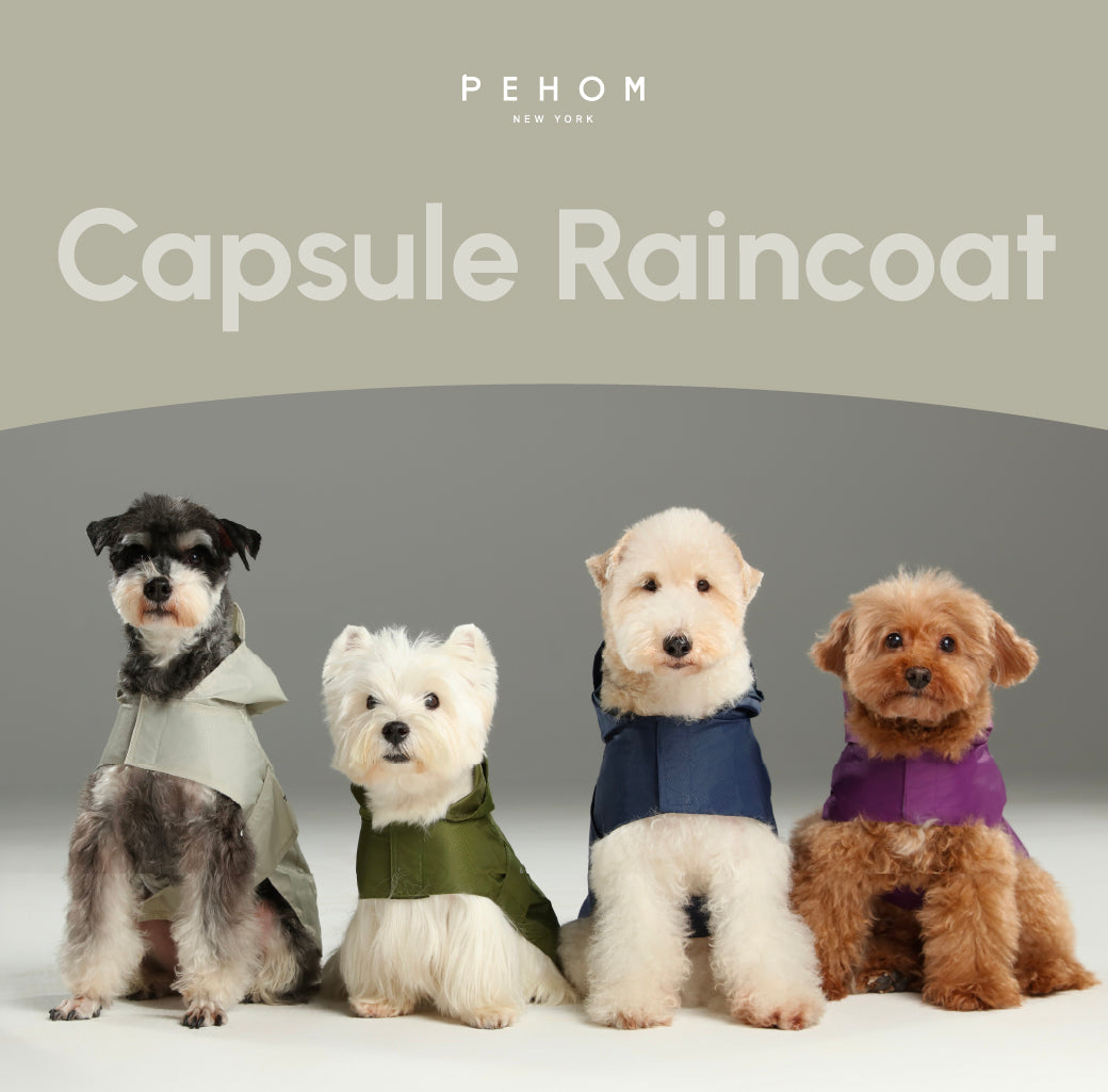Green Capsule Raincoat