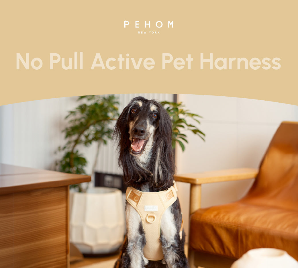 No Pull Dog Harness- APRICOT