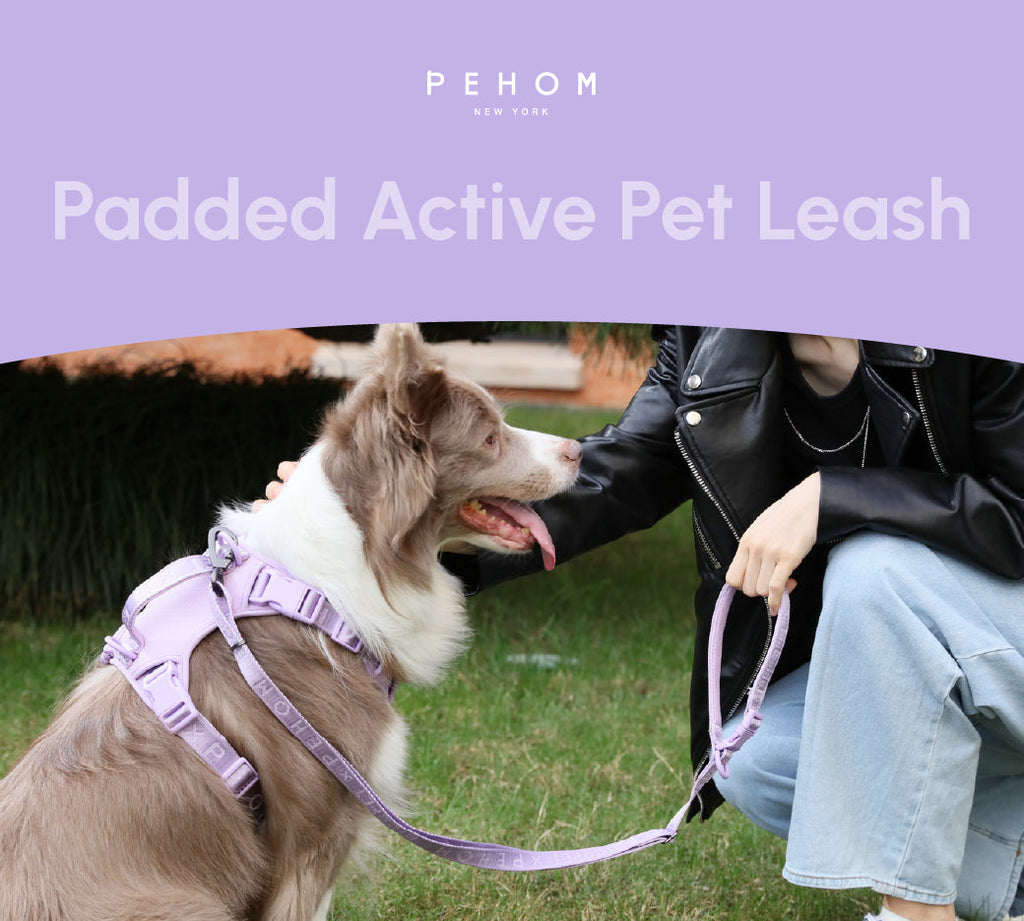Padded Leash Mint Purple