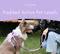 Padded Leash Mint Purple