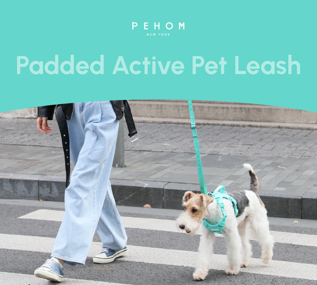Padded Pet Leash Mint Green