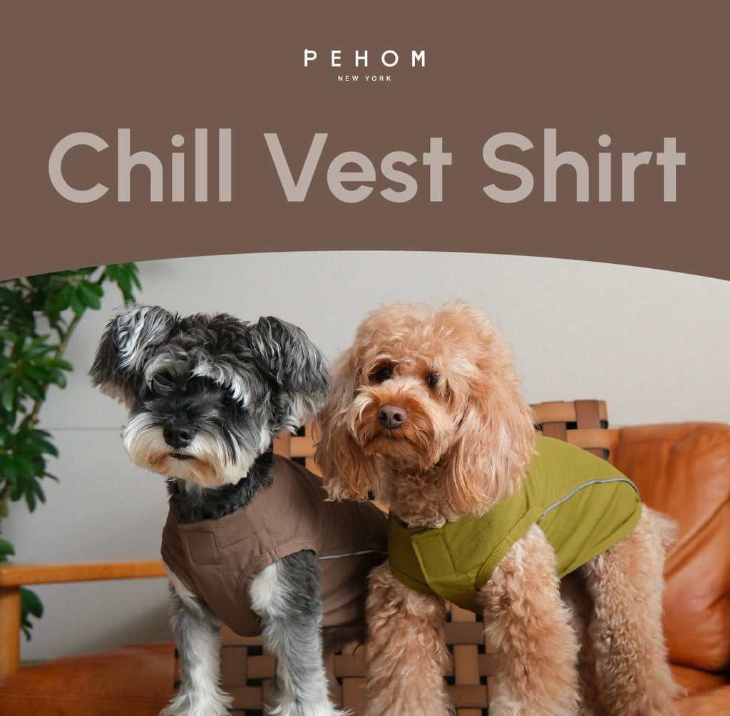 Chill Vest Shirt- Blue