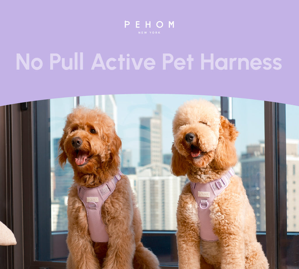 No Pull Dog Harness - MINT PURPLE
